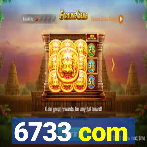 6733 com